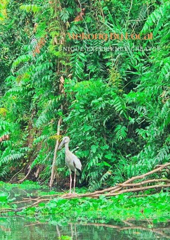 can-tho-the-untouched-nature-reserve-mekongs-life