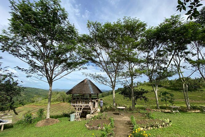 Can-umantad Falls and candijay rice terraces Eco Tour - An In-Depth Look at the Itinerary