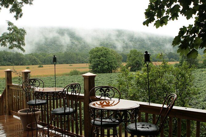 Canandaigua Wine Trail Experience - Final Thoughts: Who Should Consider This?