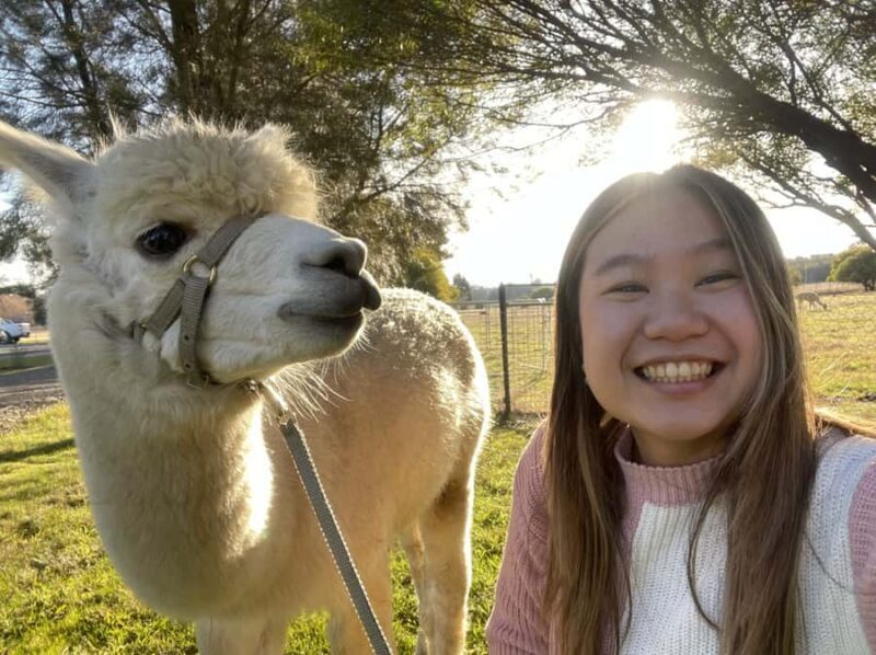 Canberra: Alpaca Adventure Farm Tour (morning tea included) - The Scenic Setting and Farm Atmosphere