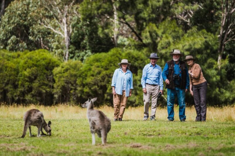 Canberra: Kangaroos and Koala Experience Tour - Exploring the Itinerary in Detail