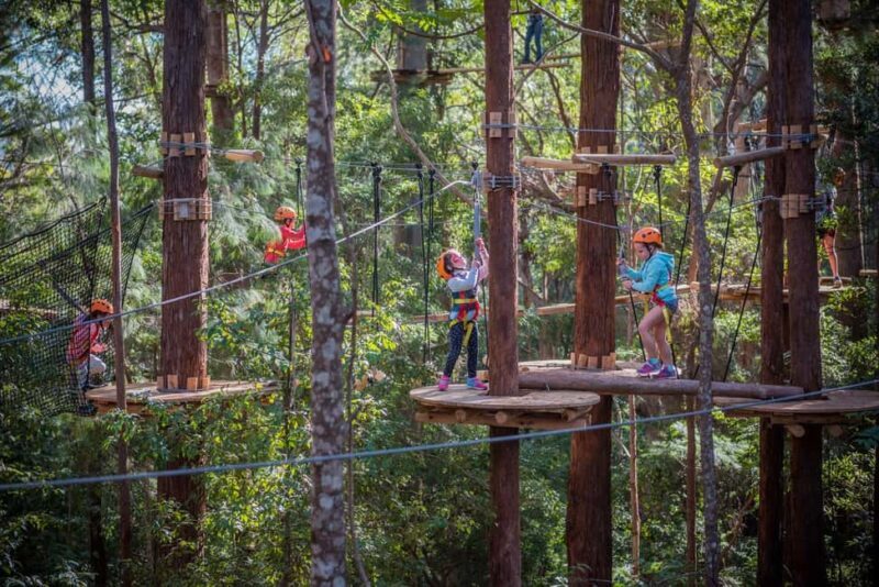 Canberra: Majura Pines Junior Tree Ropes Course - The Course Layout and Experience
