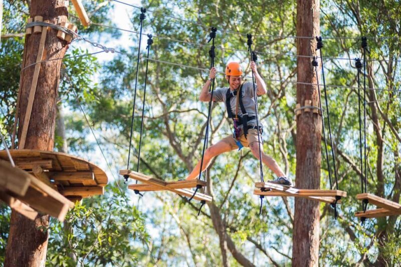 Canberra: Majura Pines Tree Ropes Course - What to Expect from Your Adventure