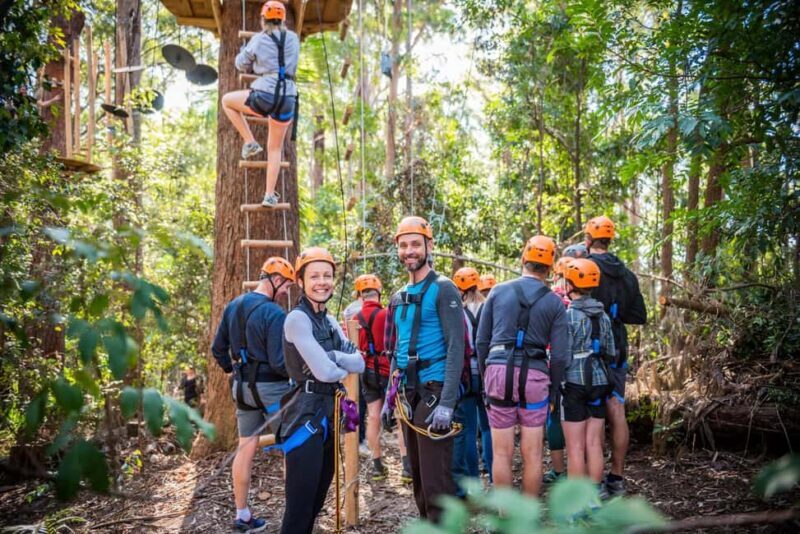 Canberra: Majura Pines Tree Ropes Course - The Experience in Action