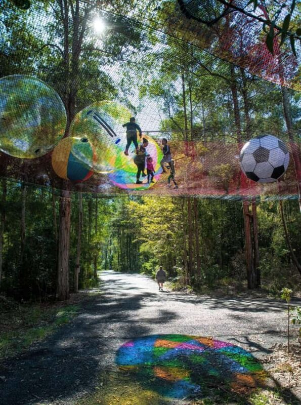 Canberra: Networld Treetop Adventure - What to Expect During Your Visit