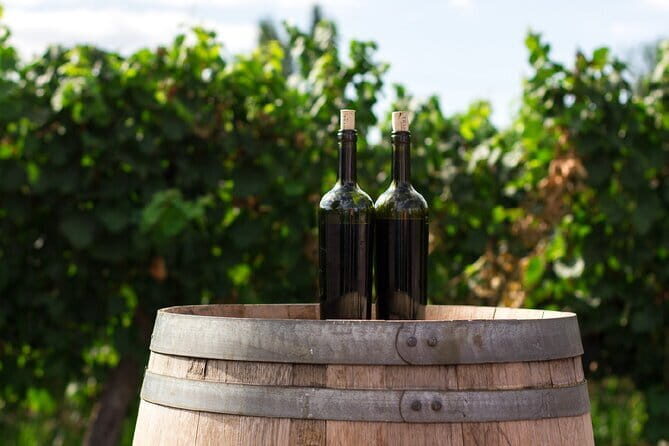 Canberra Wine Tour - A Detailed Look at Canberra Wine Tour