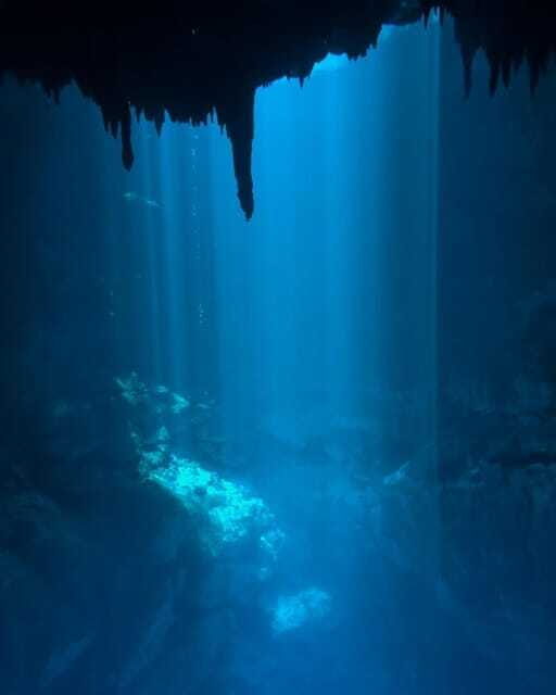 Cancun 2 Cenote Dives: The Pit & Dos Ojos - Certified Divers - Who Should Consider This Tour?
