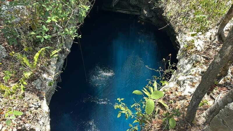 Cancun 2 Cenote Dives: The Pit & Dos Ojos - Certified Divers - The Sum Up