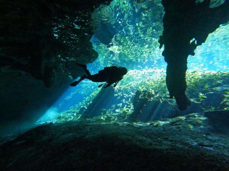 Cancun 2 Cenote Dives: The Pit + Nicte Ha - Certified Divers - What Makes This Tour Special?