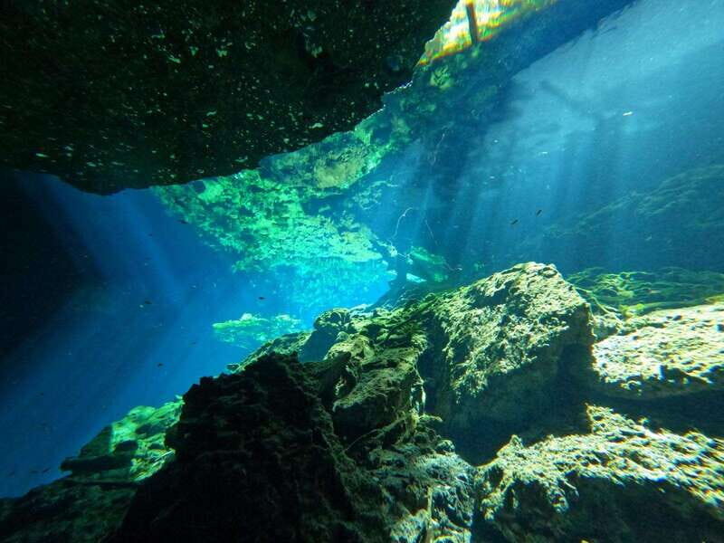 Cancun 2 Cenote Dives: The Pit + Nicte Ha - Certified Divers - What We Think Could Be Better