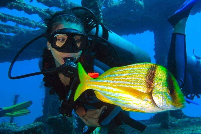 Cancún: 2-Day PADI Open Water Diving Course - What is the Cancún 2-Day PADI Open Water Diving Course?
