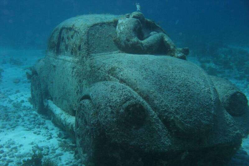 Cancún: 2-Day PADI Open Water Diving Course - Who is this tour BEST suited for?