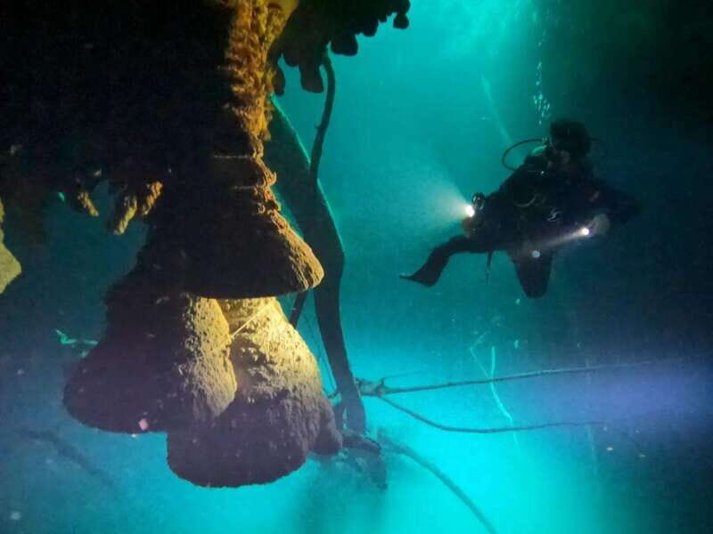 Cancun: 2 Dives in Cenotes Ki Ha + Zapote - Certified Divers - An In-Depth Look at Cancuns 2 Dives in Cenotes Ki Ha + Zapote