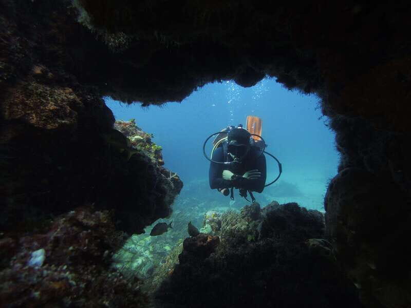 Cancun: 2 Reef Dives at Punta Cancun for Certified Divers - What Makes This Tour Stand Out