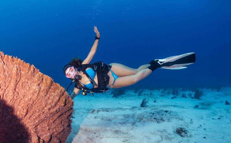 Cancun: 2-Tank Certified Diving: Explore Shallow Reefs - A Closer Look at the Cancun 2-Tank Dive Experience