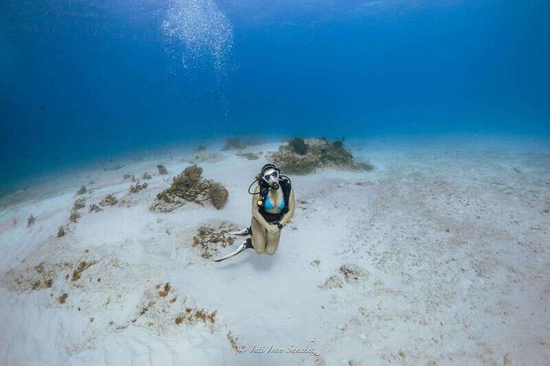 Cancun: 2-Tank Certified Diving: Explore Shallow Reefs - Who Should Consider This Tour?
