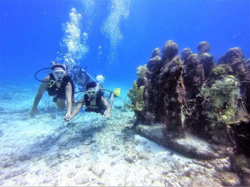 Cancun: 2-Tank Dive for Beginners with MUSA and Reef Dive - Is This Tour for You?