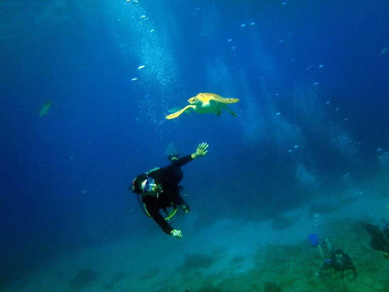 Cancun: 2-Tank Dive for Beginners with MUSA and Reef Dive - Final Thoughts