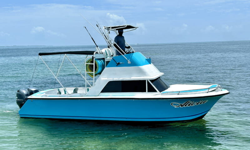 Cancun: 25 ft. Correct Craft Offshore Fishing Experience - Who Will Love This Experience?