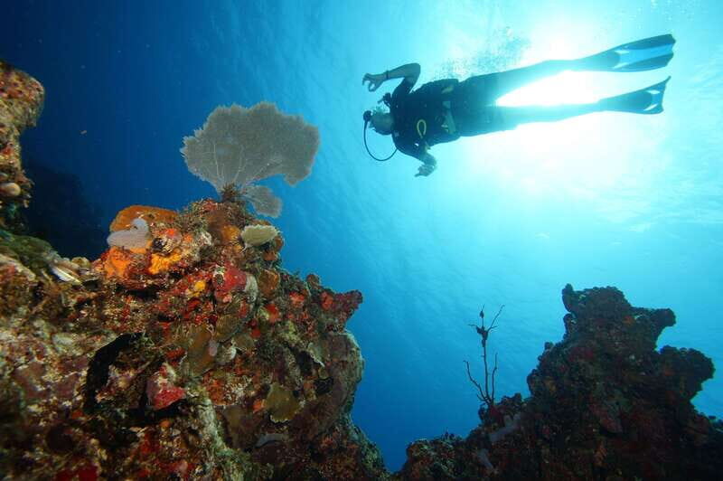 CANCUN: 2T REEF DIVES FOR CERTIFIED DIVERS - FAQ