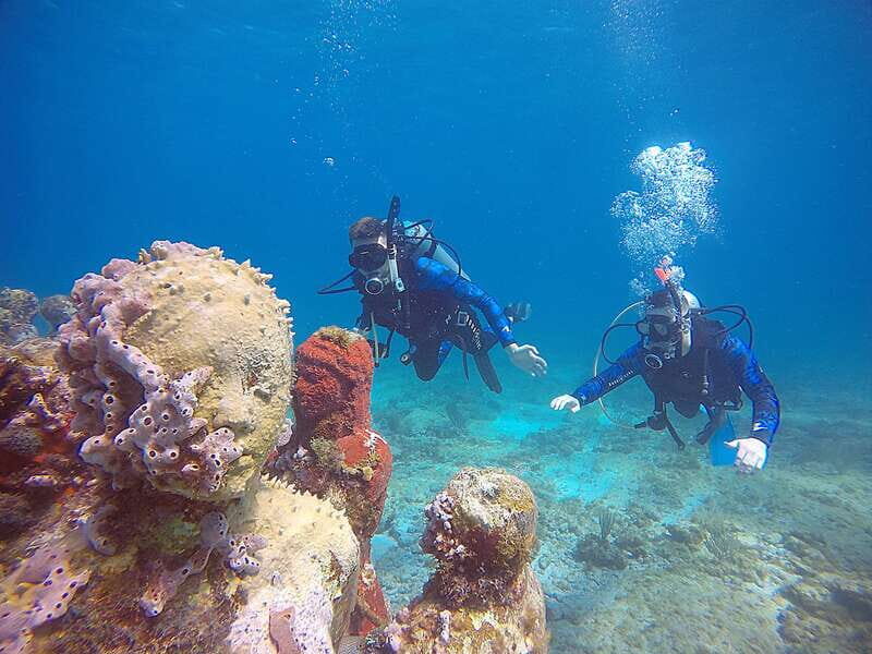 Cancun: 3 Days SDI Open Water Diver Certification - What to Expect from the 3-Day Cancun Open Water Certification