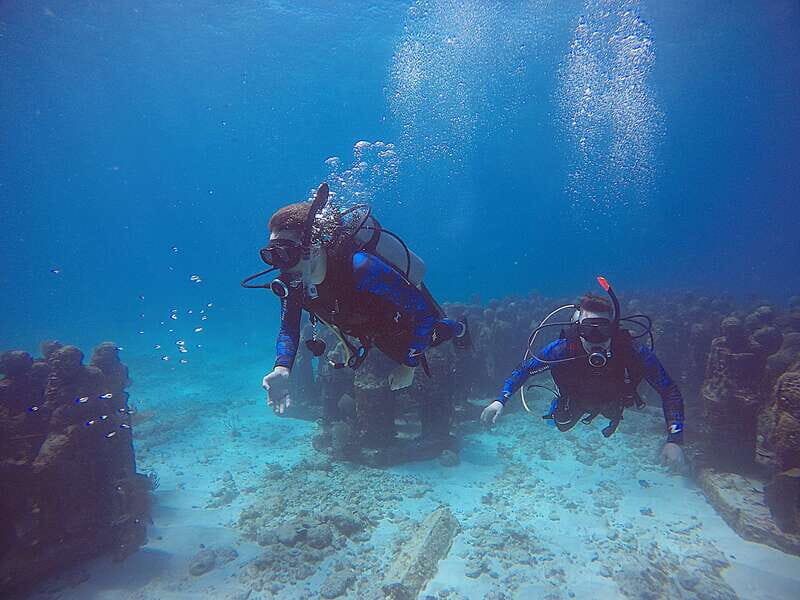 Cancun: 3 Days SDI Open Water Diver Certification - Who Should Consider This Course?
