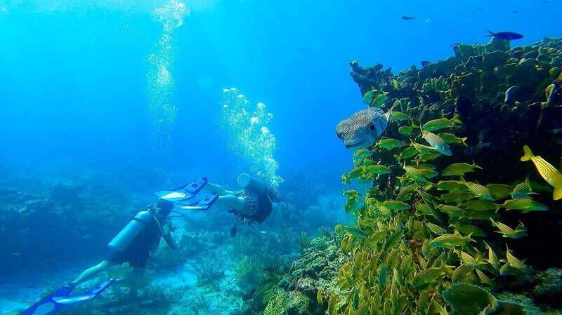 Cancun: All included Diving Lesson (2 Tanks) - Explore the Mexican Caribbean with a No-Certification Diving Experience