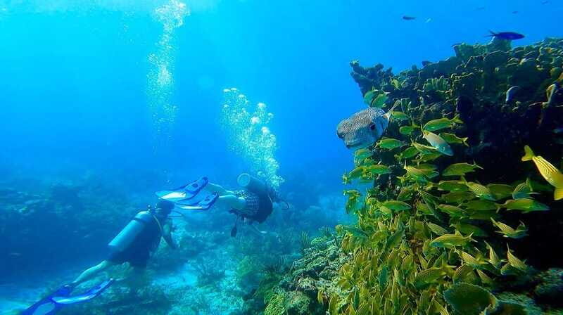 Cancun: All included Diving Lesson (2 Tanks) - The Practicalities and Considerations