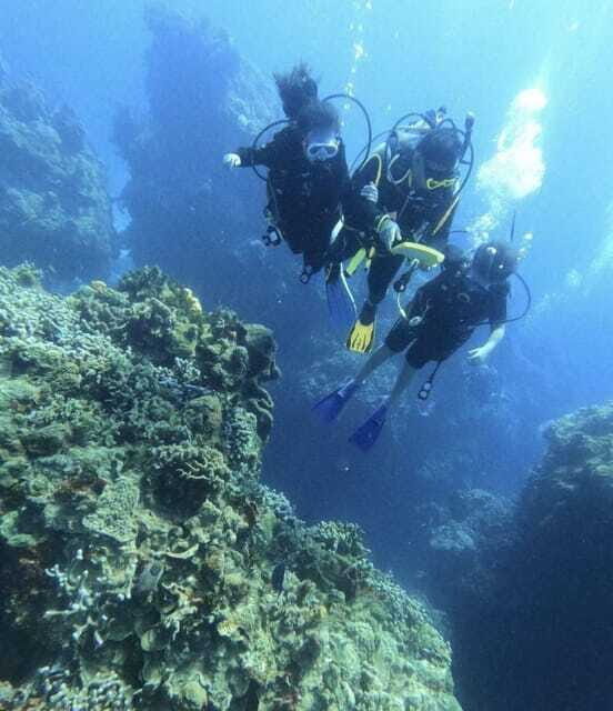 Cancun: Angelfish Discovery Package - The Sum Up