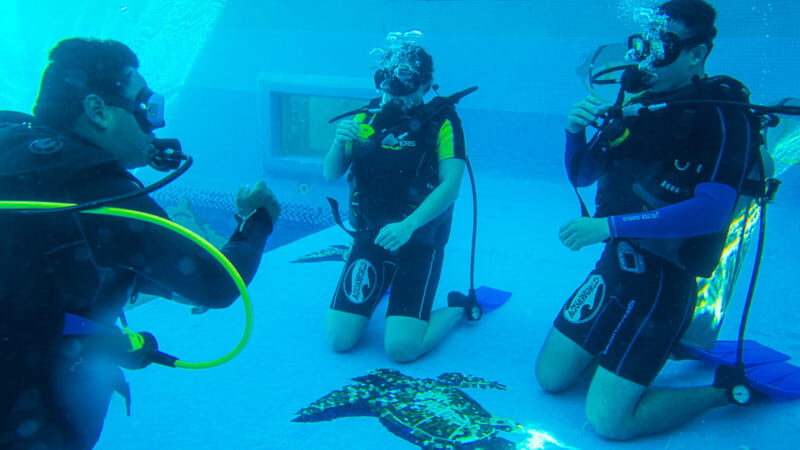 Cancun: Aquaworld Scuba Diving School - Final Thoughts
