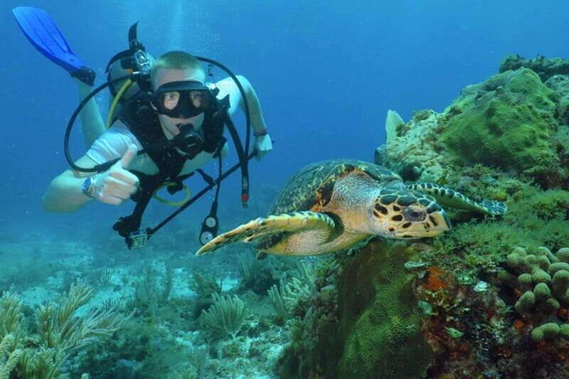 Cancun: Beginner Scuba Diving at Underwater Museum - What to Expect from Your Cancun Beginner Scuba Tour