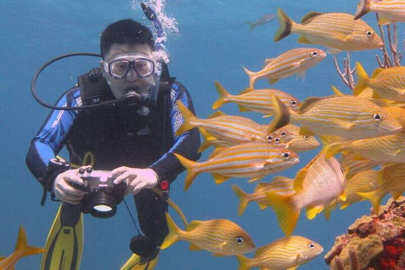 Cancun: Beginner Scuba Diving at Underwater Museum - The Sum Up