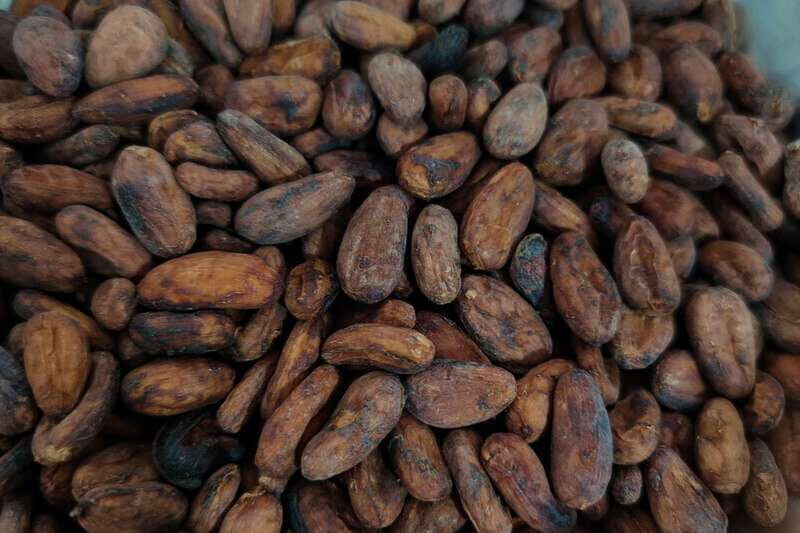 Cancún: Chocolate Making Class and Tasting with Chef - A Detailed Look at What Youll Experience