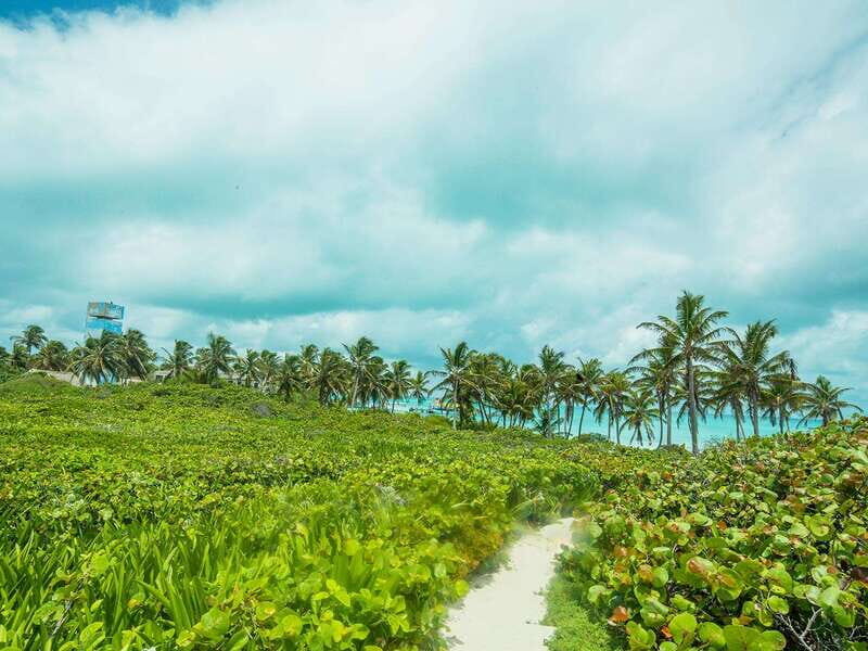 Cancún: Contoy and Isla Mujeres Boat Tour with Snorkelling - What You Need to Know Before Booking