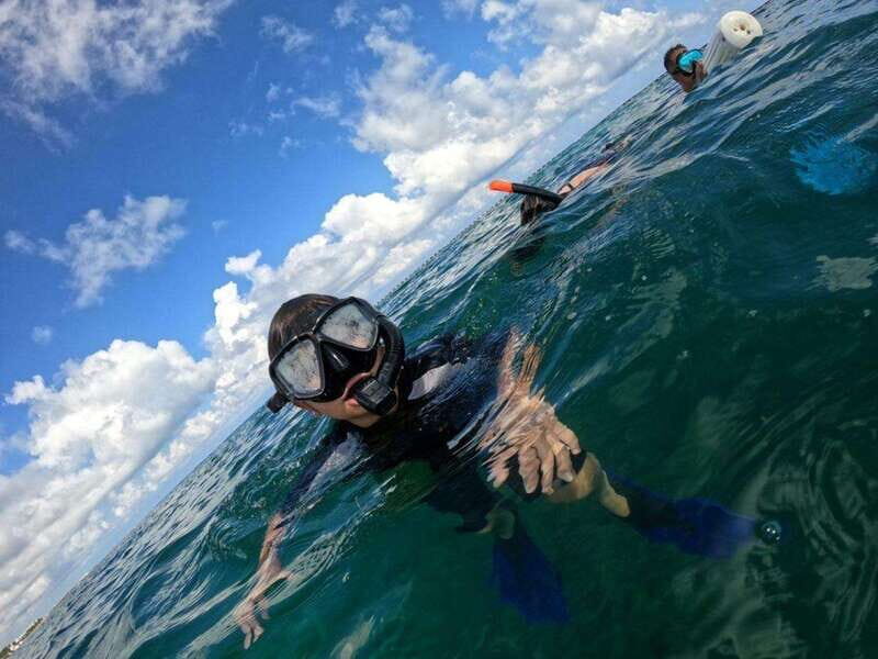 Cancún: Cozumel 2-Tank Diving Tour with Lunch & Transfers - Key Points