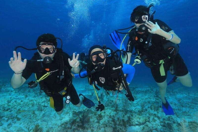 Cancún: Cozumel 2-Tank Diving Tour with Lunch & Transfers - Authentic Reviewer Insights