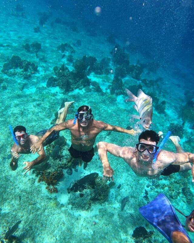 Cancun: Cozumel Snorkel Experience - A Full Breakdown of the Experience