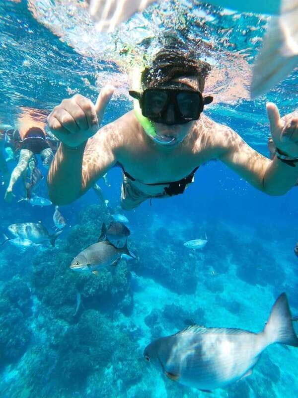 Cancun: Cozumel Snorkel Experience - Considerations