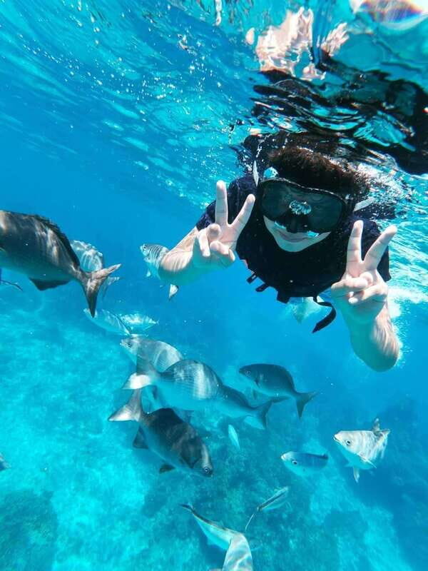 Cancun: Cozumel Snorkel Experience - Who Should Book This Tour?