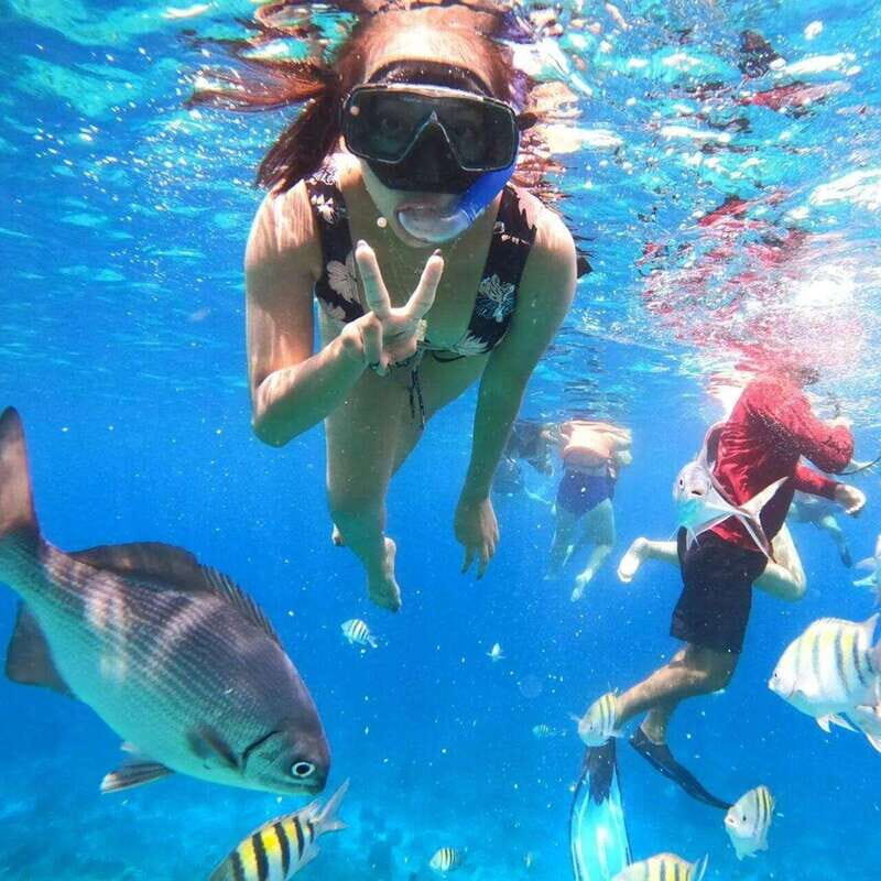 Cancun: Cozumel Snorkel Experience - FAQs