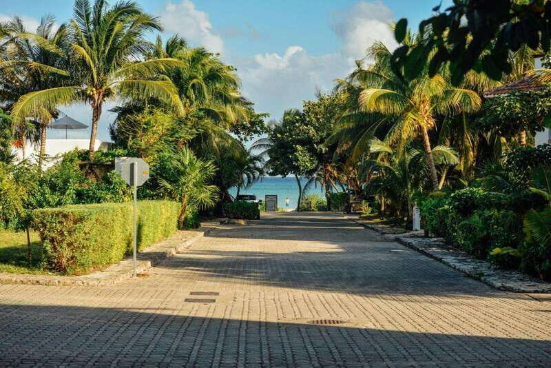 Cancun Cultural Odyssey: Discovering Citys Fascinating Tale - Who Is This Tour Best For?
