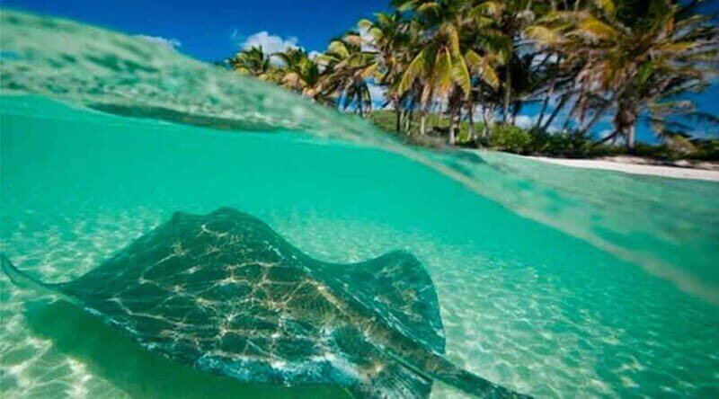 Cancún - Daytrip at Contoy Island - Key Points  