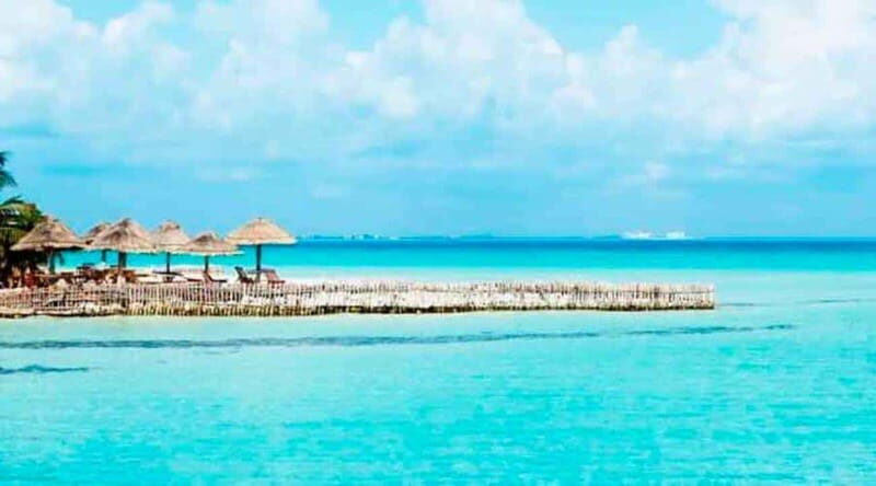 Cancún - Daytrip at Contoy Island - Discovering Isla Contoy: What to Expect from the Tour  