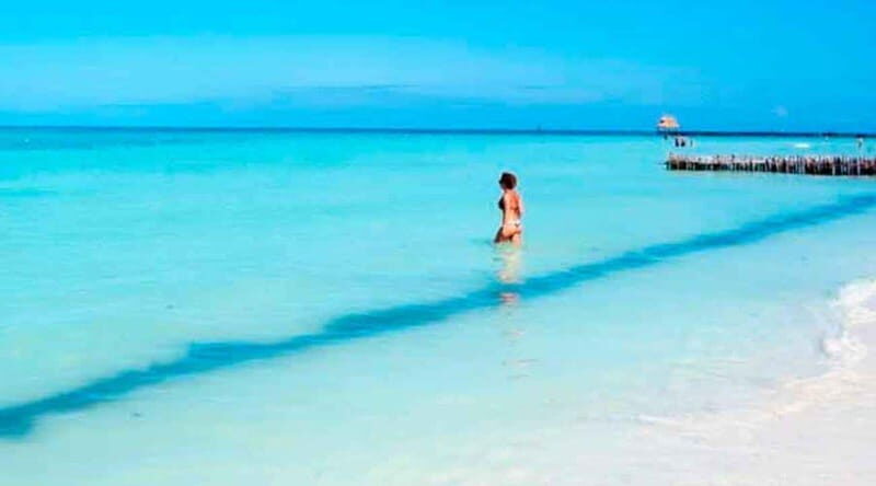Cancún - Daytrip at Contoy Island - Authenticity and Value  