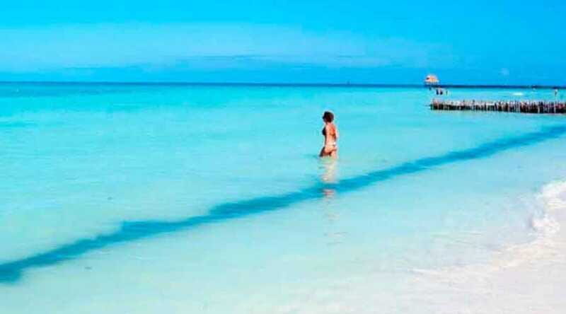 Cancún - Daytrip at Contoy Island - Who Will Love This Tour?  