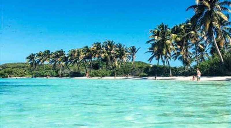 Cancún - Daytrip at Contoy Island - Summary  