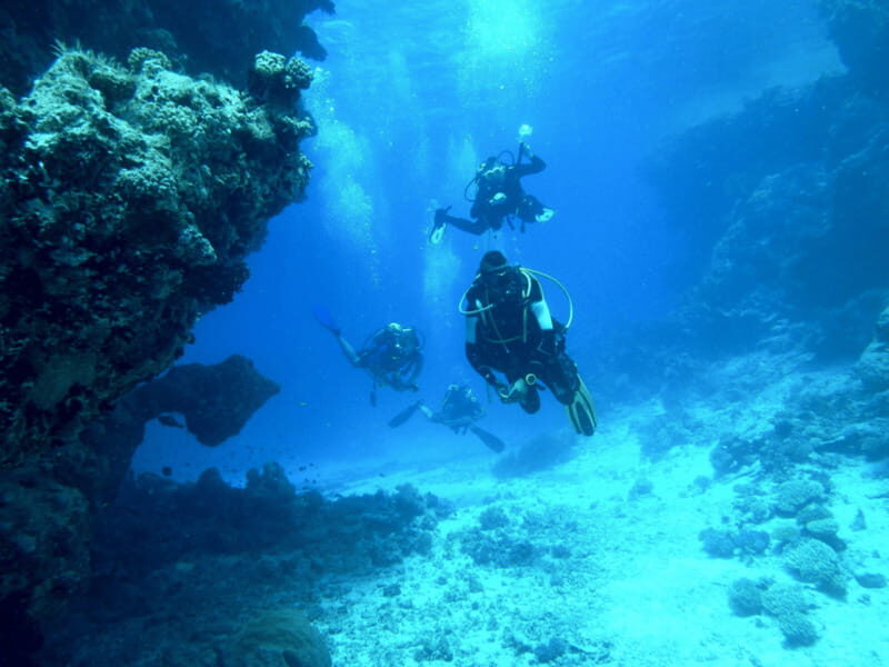 Cancun: Discover Scuba Diving PADI - Key Points