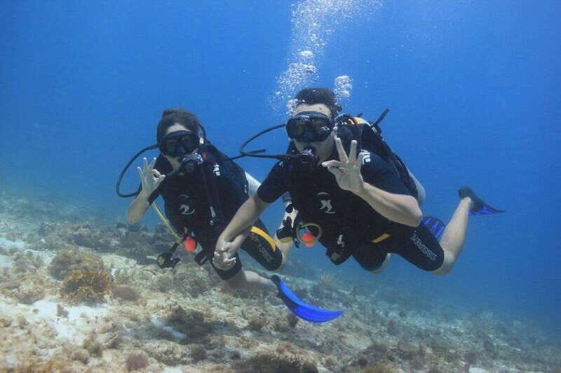 Cancun: Dive Underwater Museum & Manchones Reef - Cancun: Dive Underwater Museum & Manchones Reef — A Comprehensive Review