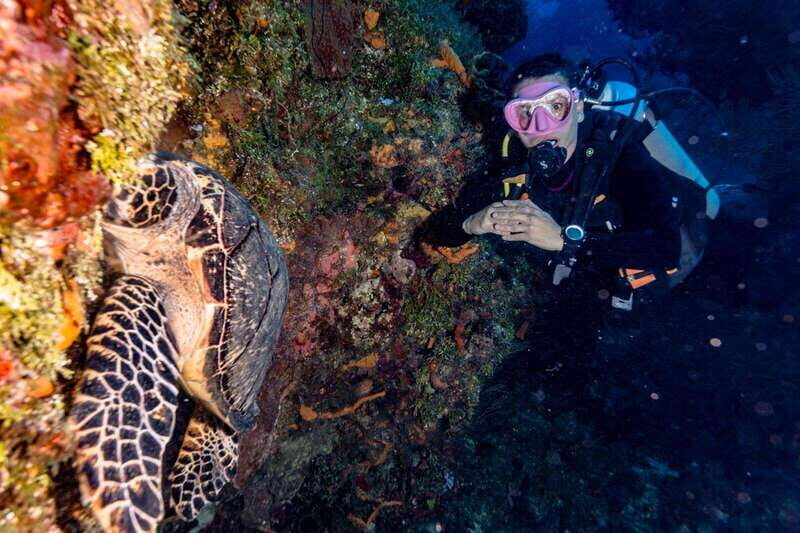 Cancun: Diving the Sunken Ship (Certified Divers) - Key Points