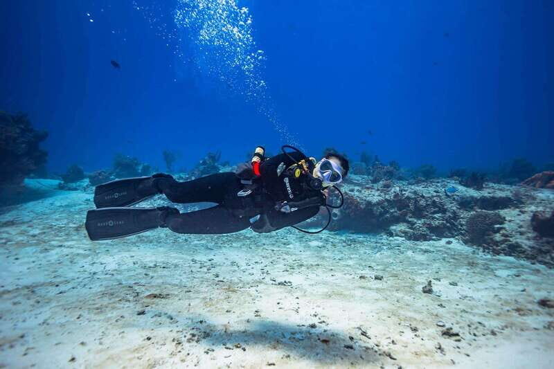 Cancun: Diving the Underwater Art Museum with 2-Tank Dive - Additional Information and Tips  